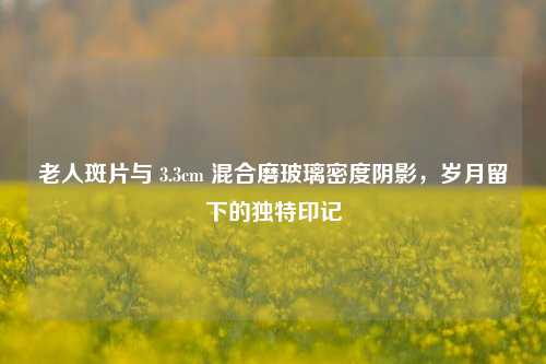 老人斑片与 3.3cm 混合磨玻璃密度阴影，岁月留下的独特印记