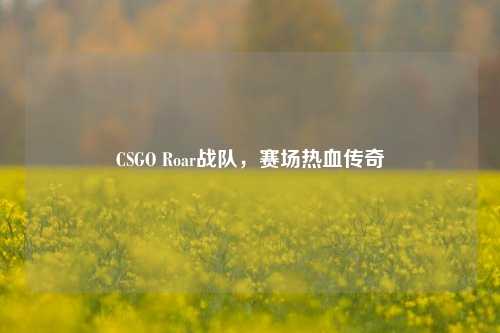 CSGO Roar战队,赛场热血传奇