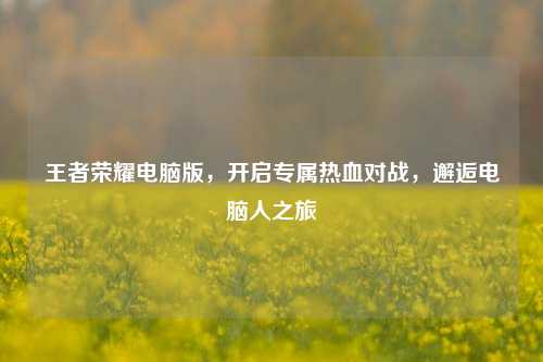 王者荣耀电脑版，开启专属热血对战，邂逅电脑人之旅