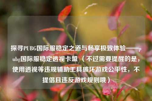 探寻PUBG国际服稳定之道与畅享极致体验——pubg国际服稳定透视卡盟 （不过需要提醒的是，使用透视等违规辅助工具破坏游戏公平性，不提倡且违反游戏规则哦）