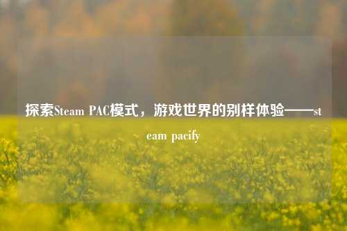 探索Steam PAC模式，游戏世界的别样体验——steam pacify