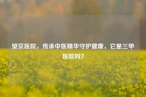 望京医院,传承中医精华守护健康,它是三甲医院吗?