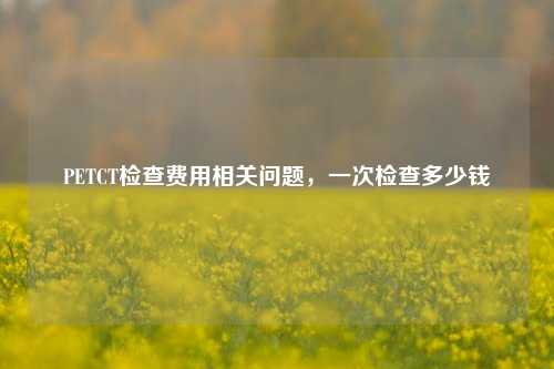 PETCT检查费用相关问题,一次检查多少钱