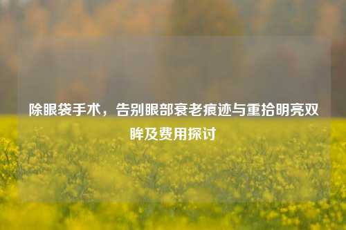 除眼袋手术，告别眼部衰老痕迹与重拾明亮双眸及费用探讨