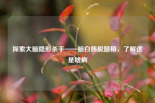 探索大脑隐形杀手——脑白质脱髓鞘,了解这是啥病