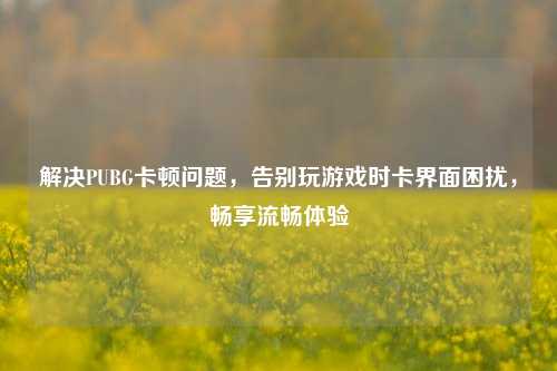 解决PUBG卡顿问题,告别玩游戏时卡界面困扰,畅享流畅体验
