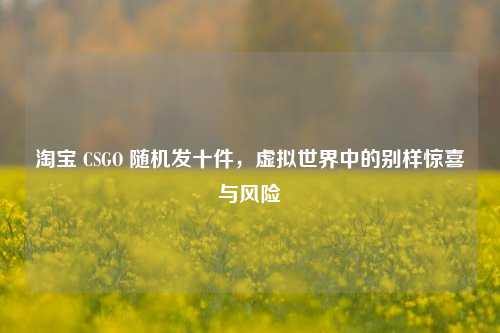 *** CSGO 随机发十件,虚拟世界中的别样惊喜与风险
