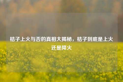 桔子上火与否的真相大揭秘,桔子到底是上火还是降火