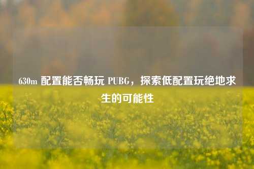 630m 配置能否畅玩 PUBG,探索低配置玩绝地求生的可能性