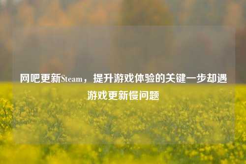 网吧更新Steam,提升游戏体验的关键一步却遇游戏更新慢问题