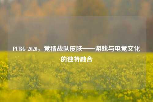 PUBG 2020，竞猜战队皮肤——游戏与电竞文化的独特融合