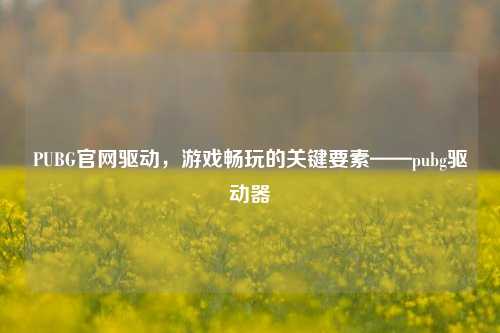 PUBG官网驱动，游戏畅玩的关键要素——pubg驱动器