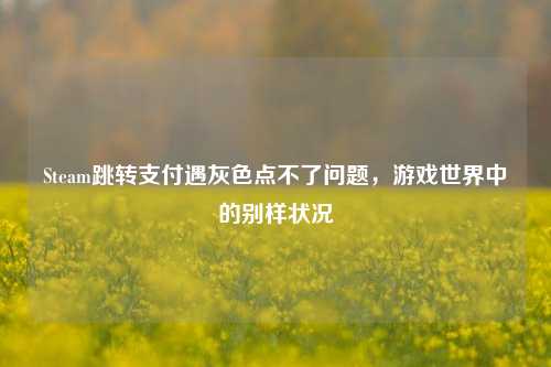Steam跳转支付遇灰色点不了问题，游戏世界中的别样状况