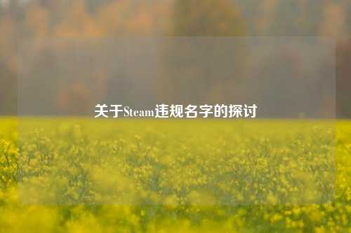 关于Steam违规名字的探讨