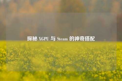 探秘 XGPU 与 Steam 的神奇搭配