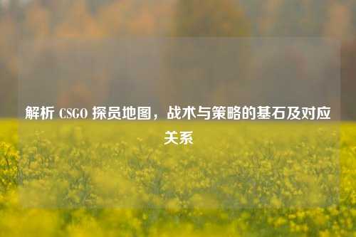 解析 CSGO 探员地图,战术与策略的基石及对应关系