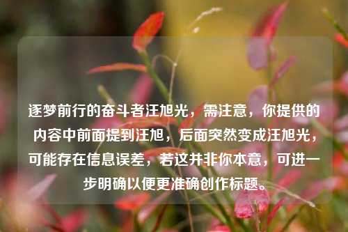 逐梦前行的奋斗者汪旭光，需注意，你提供的内容中前面提到汪旭，后面突然变成汪旭光，可能存在信息误差，若这并非你本意，可进一步明确以便更准确创作标题。