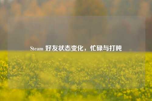 Steam 好友状态变化，忙碌与打盹