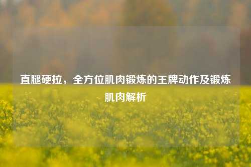直腿硬拉，全方位肌肉锻炼的王牌动作及锻炼肌肉解析