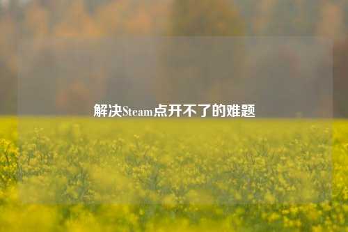 解决Steam点开不了的难题