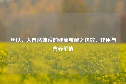 丝瓜，大自然馈赠的健康宝藏之功效、作用与营养价值