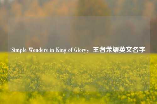 Simple Wonders in King of Glory，王者荣耀英文名字