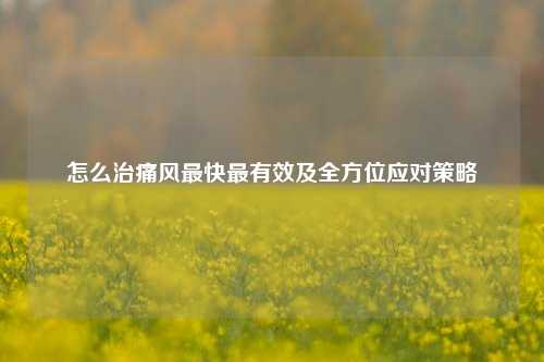怎么治痛风最快最有效及全方位应对策略