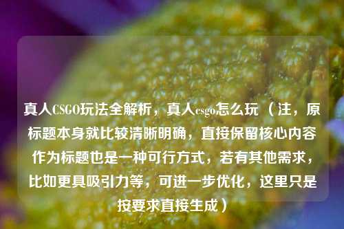 真人CSGO玩法全解析，真人csgo怎么玩 （注，原标题本身就比较清晰明确，直接保留核心内容作为标题也是一种可行方式，若有其他需求，比如更具吸引力等，可进一步优化，这里只是按要求直接生成）