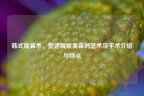韩式隆鼻术，塑造精致美鼻的艺术及手术介绍与特点
