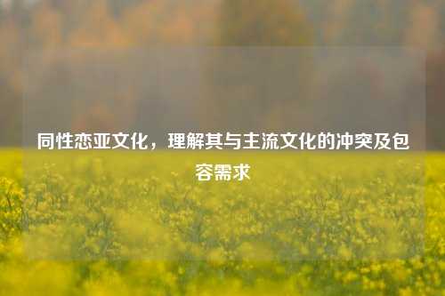 同性恋亚文化，理解其与主流文化的冲突及包容需求