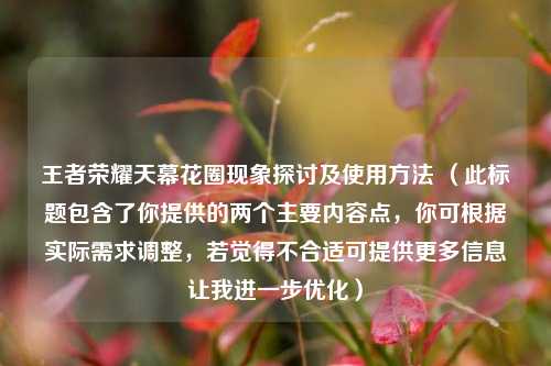 王者荣耀天幕花圈现象探讨及使用 ***  （此标题包含了你提供的两个主要内容点，你可根据实际需求调整，若觉得不合适可提供更多信息让我进一步优化）