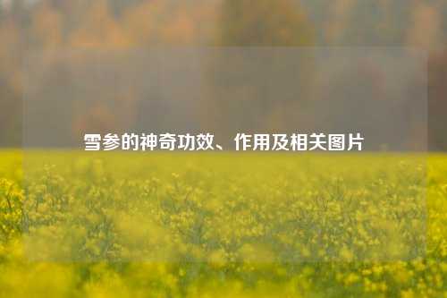 雪参的神奇功效、作用及相关图片