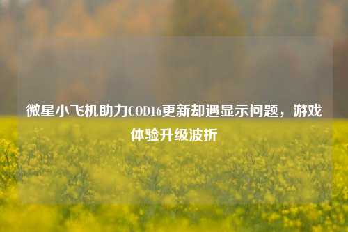 微星小飞机助力COD16更新却遇显示问题，游戏体验升级波折