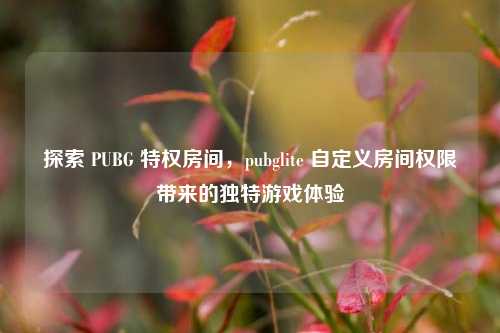 探索 PUBG 特权房间，pubglite 自定义房间权限带来的独特游戏体验