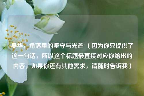 吴华，角落里的坚守与光芒 （因为你只提供了这一句话，所以这个标题最直接对应你给出的内容，如果你还有其他需求，请随时告诉我）