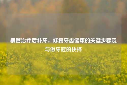 根管治疗后补牙，修复牙齿健康的关键步骤及与做牙冠的抉择