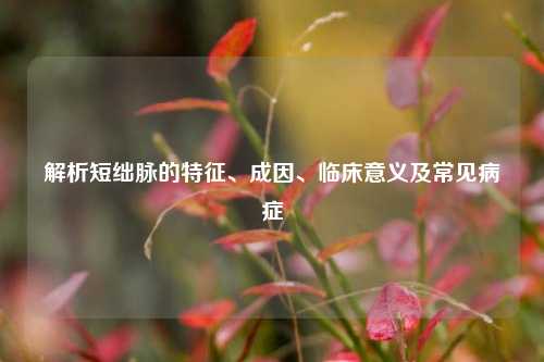 解析短绌脉的特征、成因、临床意义及常见病症