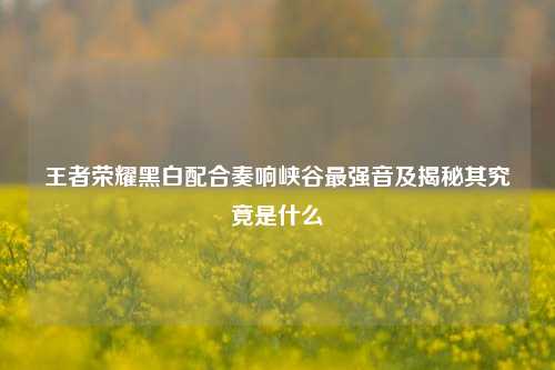 王者荣耀黑白配合奏响峡谷最强音及揭秘其究竟是什么