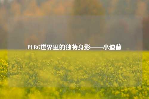 PUBG世界里的独特身影——小迪普
