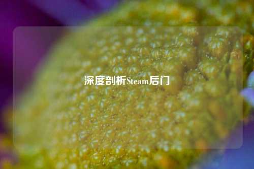 深度剖析Steam后门