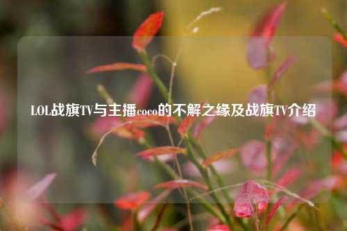LOL战旗TV与主播coco的不解之缘及战旗TV介绍
