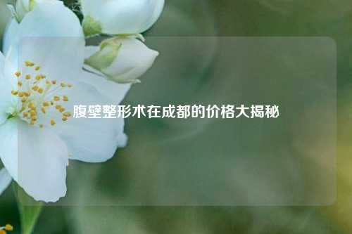 腹壁整形术在成都的价格大揭秘