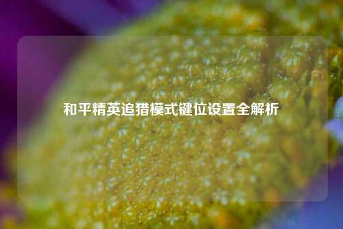 和平精英追猎模式键位设置全解析