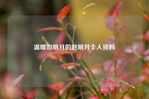 温暖如明月的赵明月个人资料
