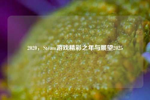 2020，Steam游戏精彩之年与展望2025