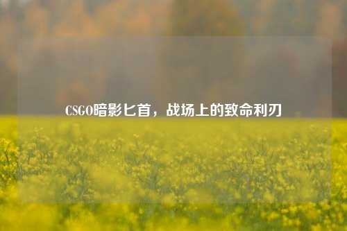 CSGO暗影匕首，战场上的致命利刃