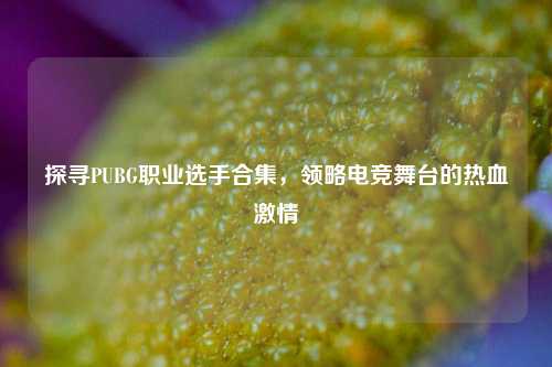 探寻PUBG职业选手合集，领略电竞舞台的热血 *** 
