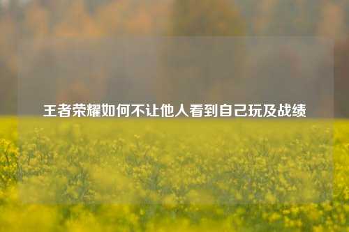 王者荣耀如何不让他人看到自己玩及战绩