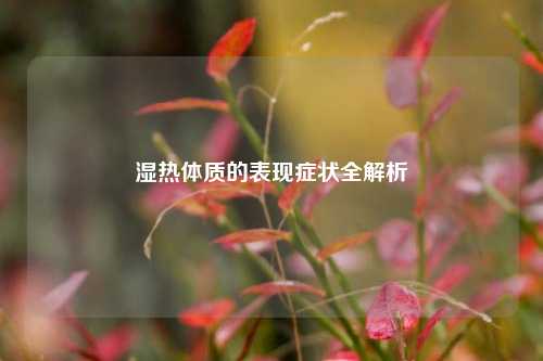 湿热体质的表现症状全解析