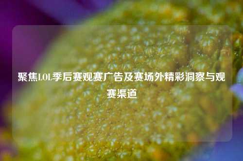 聚焦LOL季后赛观赛广告及赛场外精彩洞察与观赛渠道